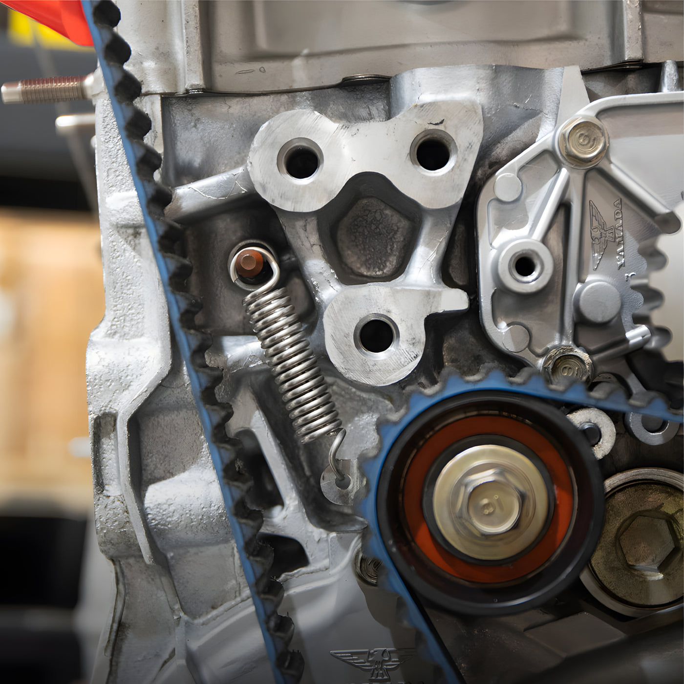 SpeedFactory Timing Belt Tensioner Spring for Honda B Series