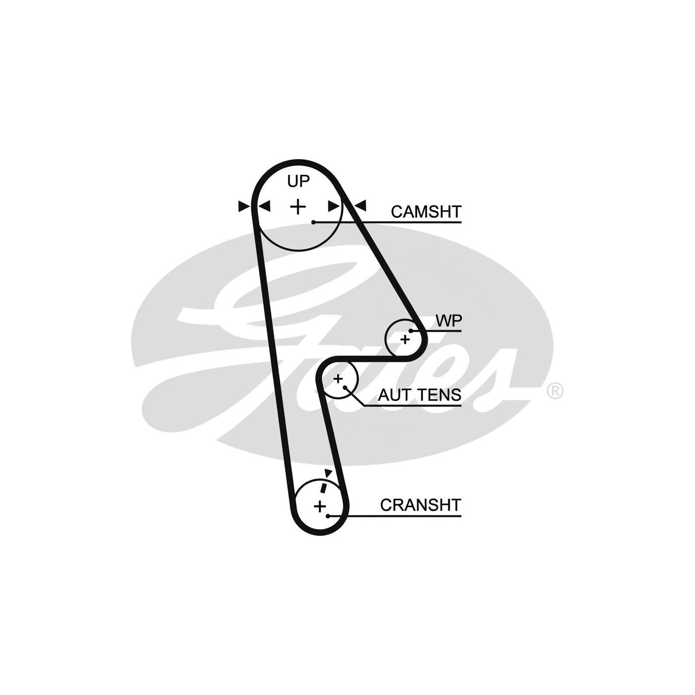 Gates Racing Timing Belt for 01-05 Civic D17