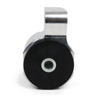 Hasport Replacement Engine Mount Kit for 17-21 Civic Si