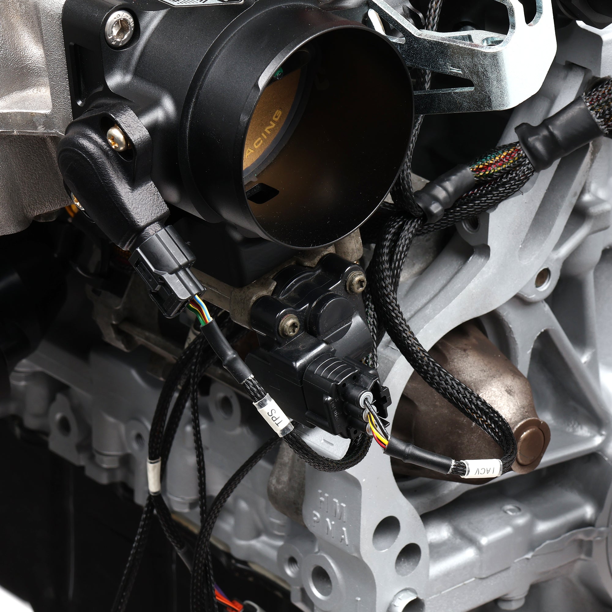 Hybrid Racing Tucked K Swap Engine Harness