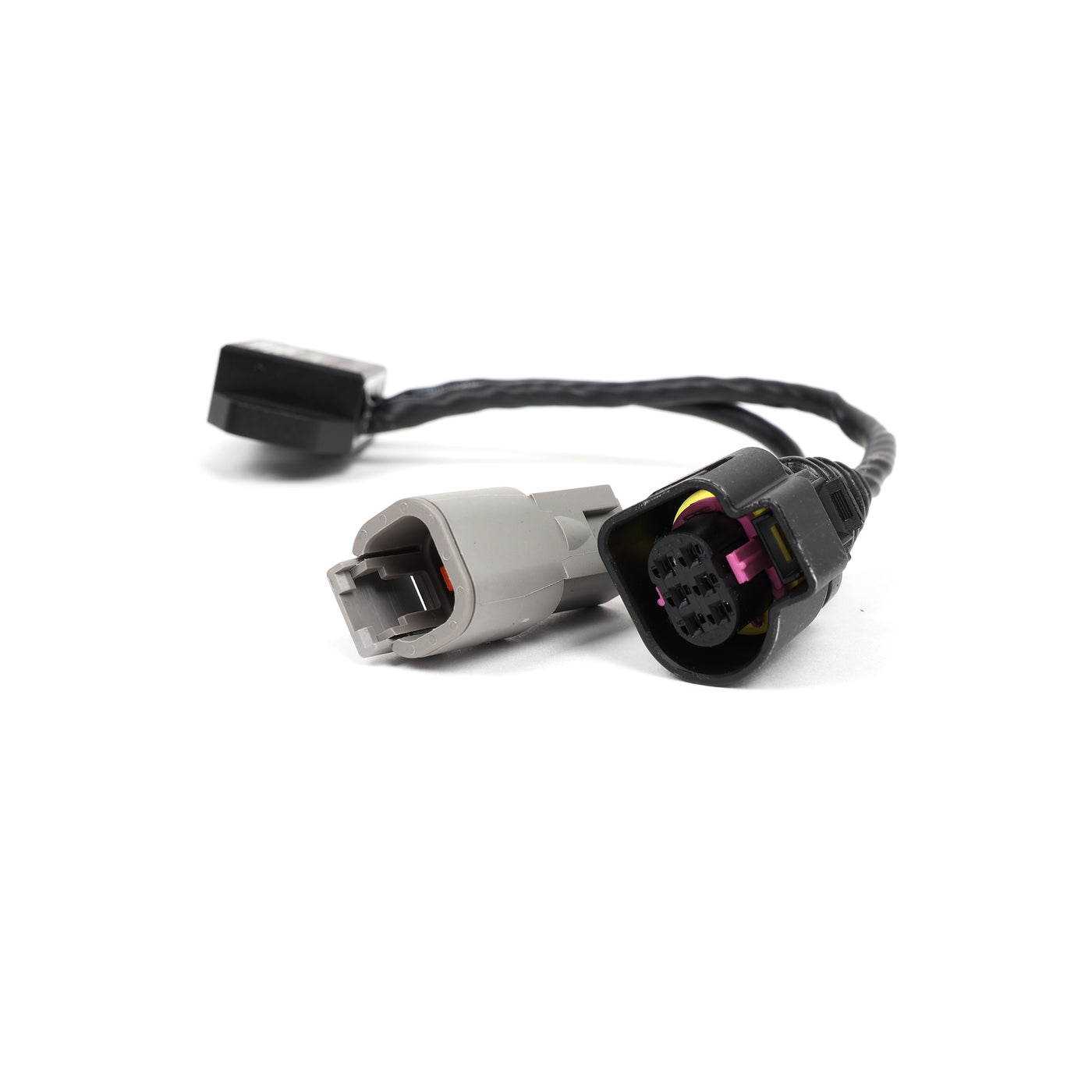 Link ECU CAN Lambda Module