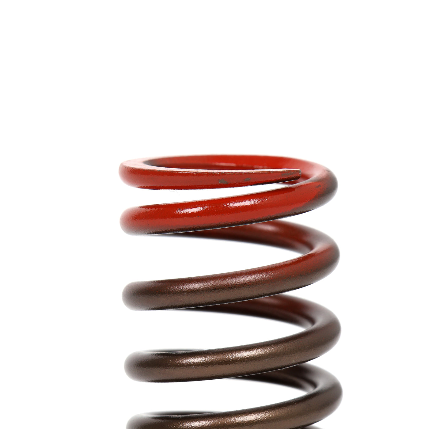 Honda K20A2/K20Z1/K20Z3 Exhaust Valve Spring 14762-PRB-A02