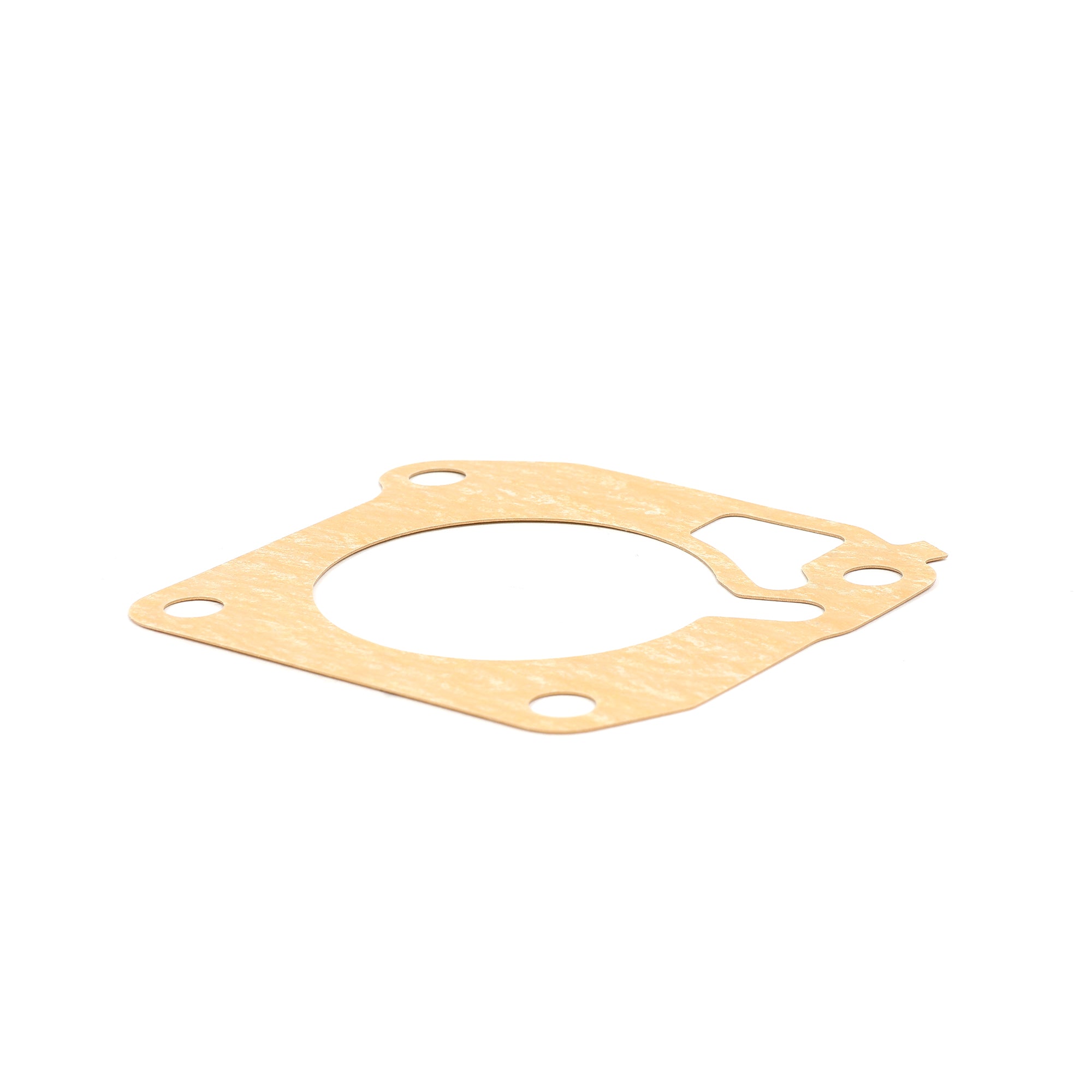 Honda D16Y8 Throttle Body Gasket 16176-P2J-004