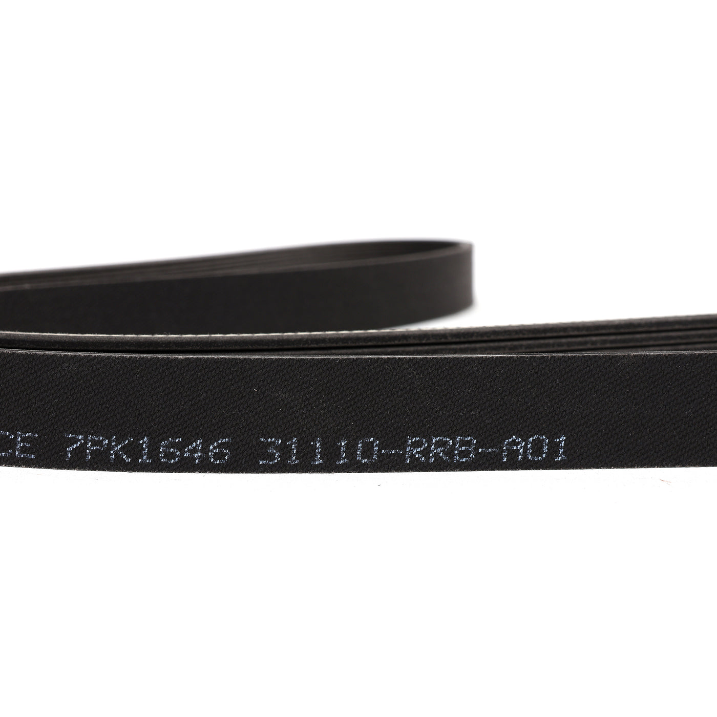 Honda K20Z3 Serpentine Belt 31110-RRB-A01