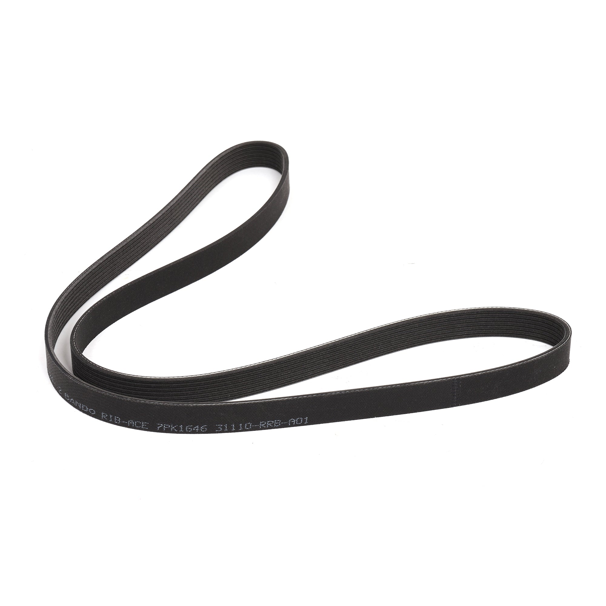 Honda K20Z3 Serpentine Belt 31110-RRB-A01