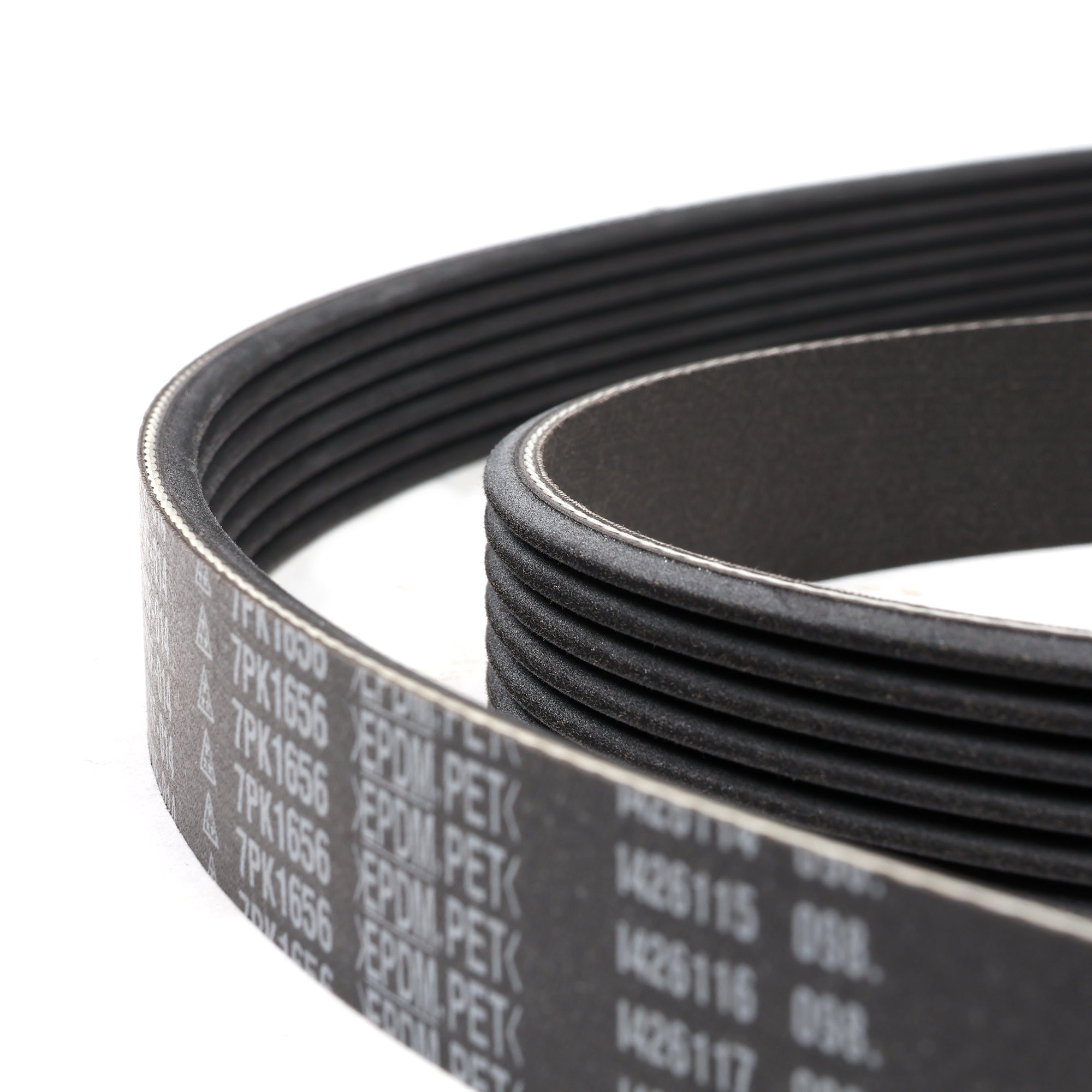 Honda K20A3 EP3 Civic Si Serpentine Belt 38920-PNF-014