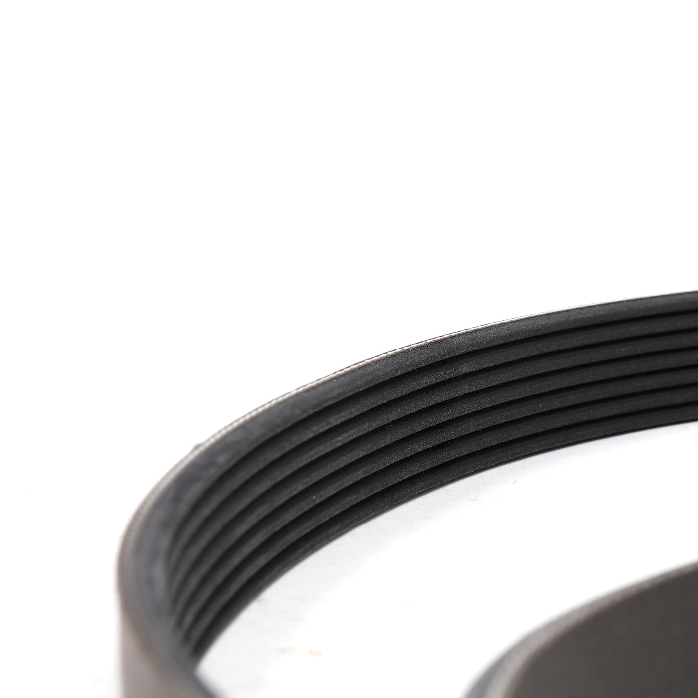 Honda K20A3 EP3 Civic Si Serpentine Belt 38920-PNF-014