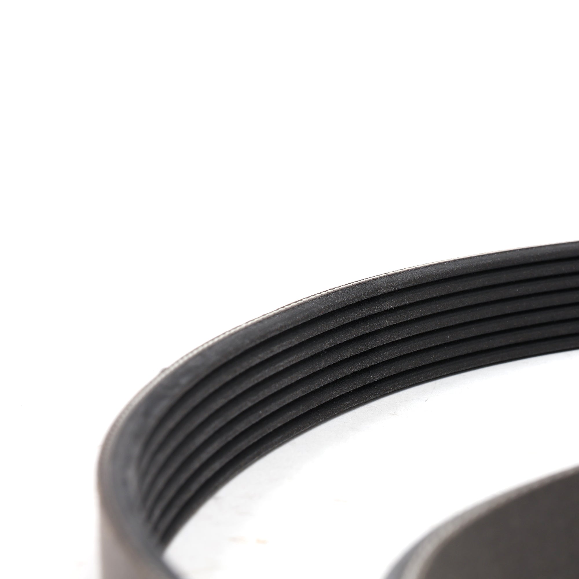 Honda K20A3 EP3 Civic Si Serpentine Belt 38920-PNF-014