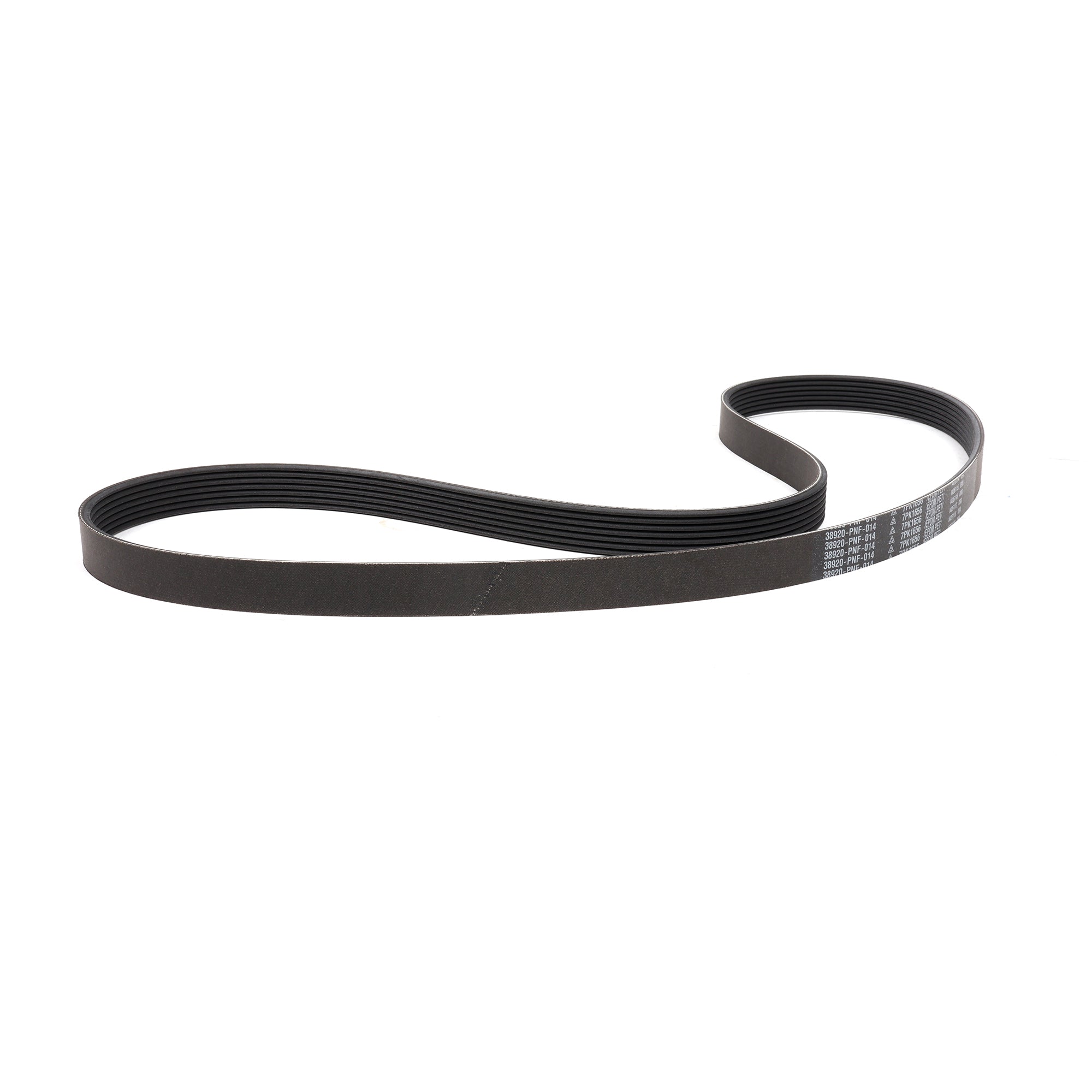 Honda K20A3 EP3 Civic Si Serpentine Belt 38920-PNF-014