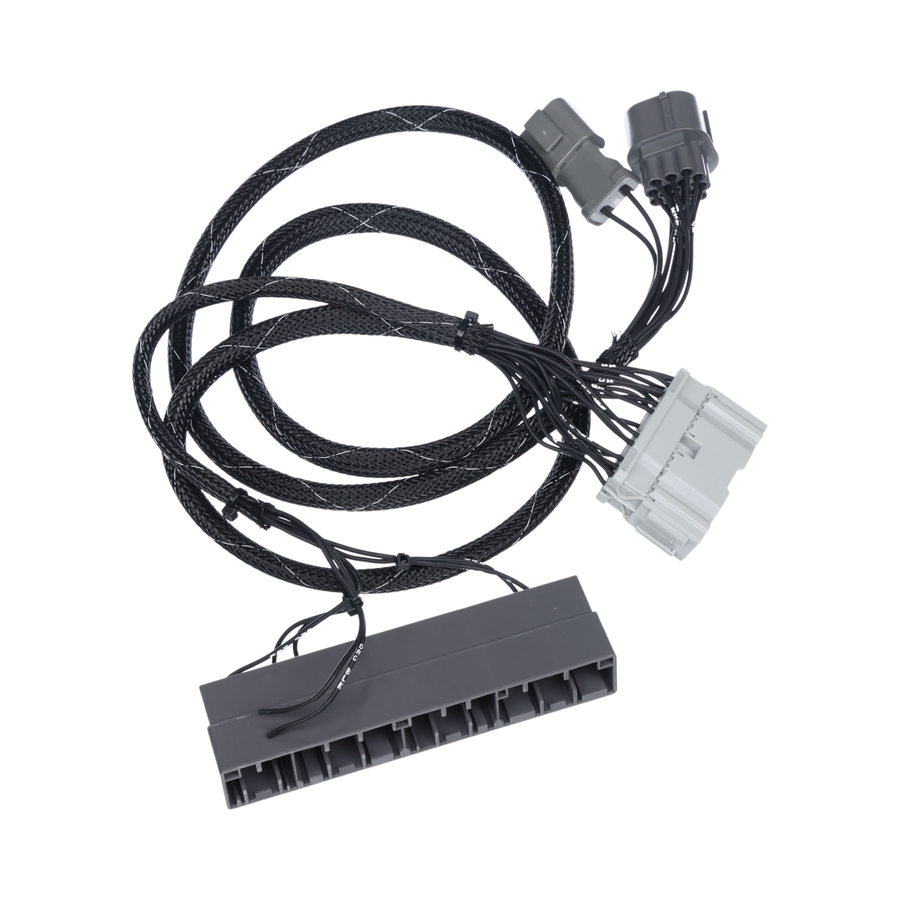 Rywire B Series Adapter Harness for 96-99 Integra GS/RS/LS