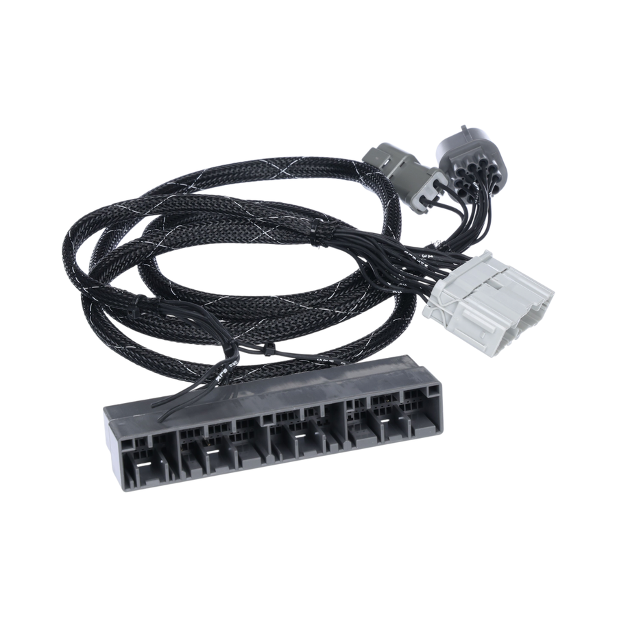 Rywire B Series Adapter Harness for 96-99 Integra GS/RS/LS