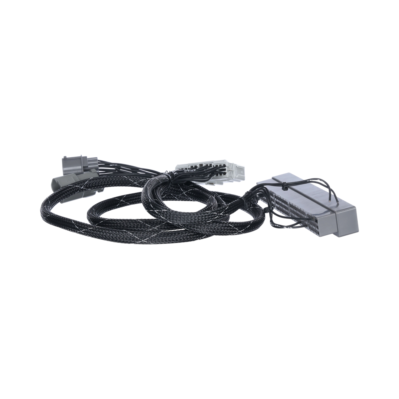 Rywire B Series Adapter Harness for 96-99 Integra GS/RS/LS