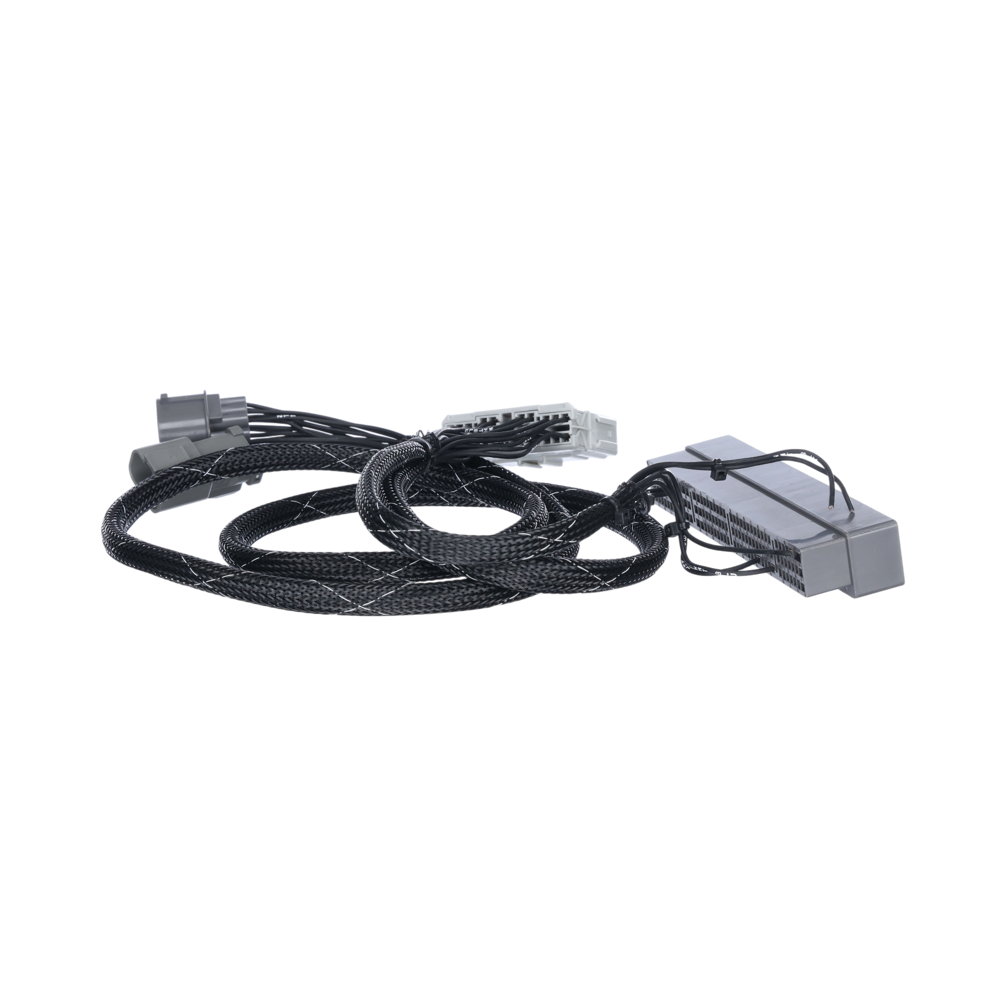 Rywire B Series Adapter Harness for 96-99 Integra GS/RS/LS