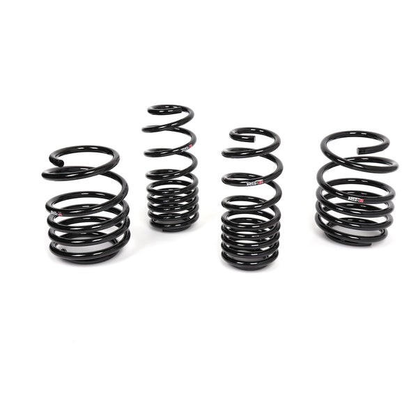 RS-R Down SUS Lowering Springs (FL5 Civic Type R)