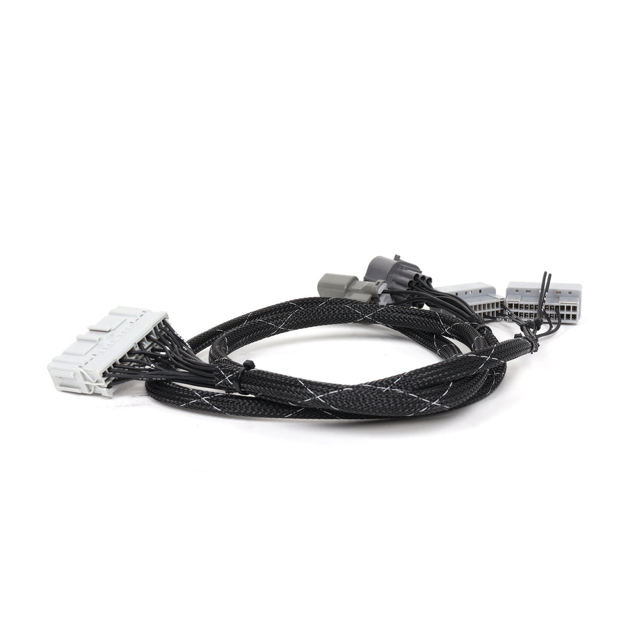 Rywire B Series Adapter Harness for 92-95 Civic/94-95 Integra