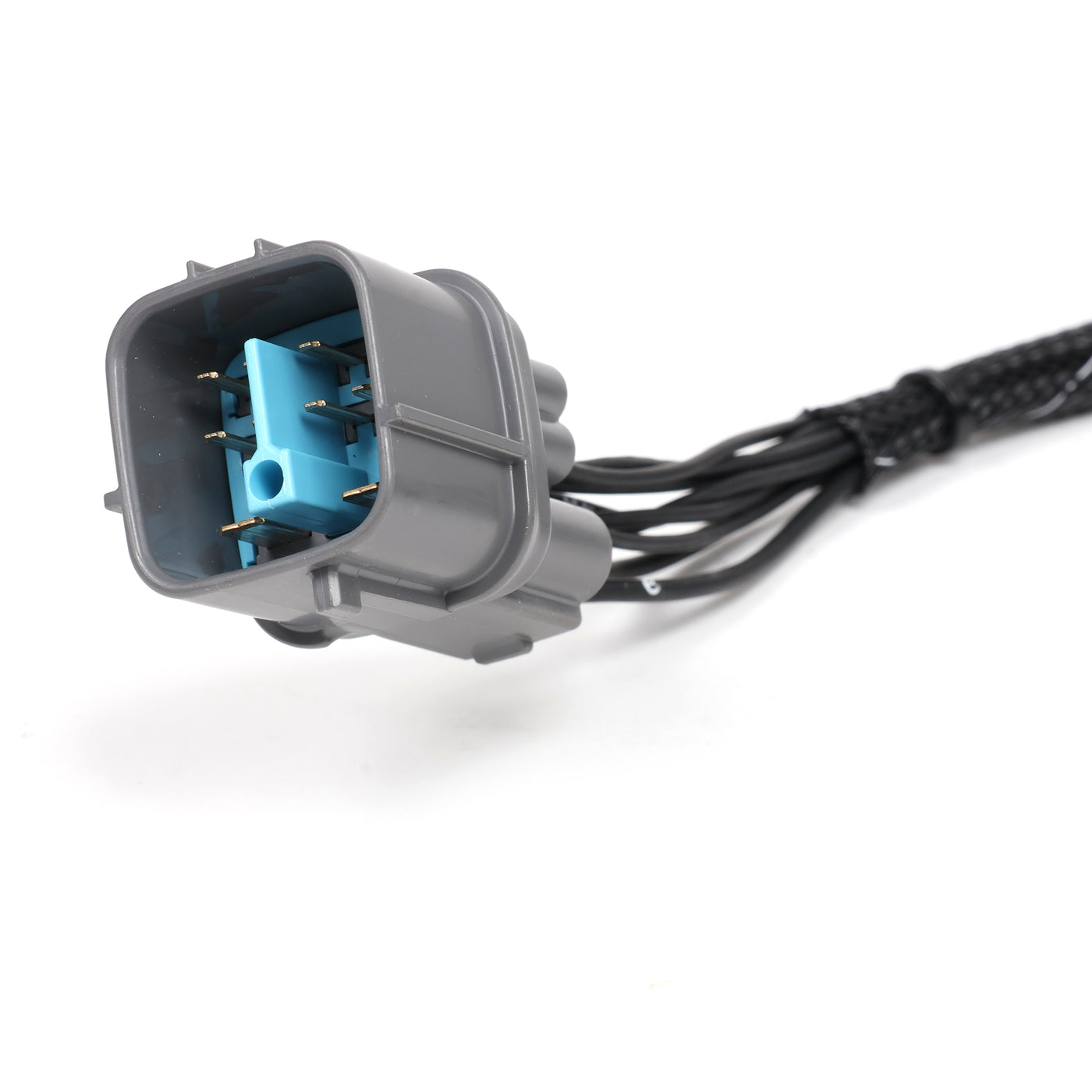 Rywire B Series Adapter Harness for 96-98 Honda Civic