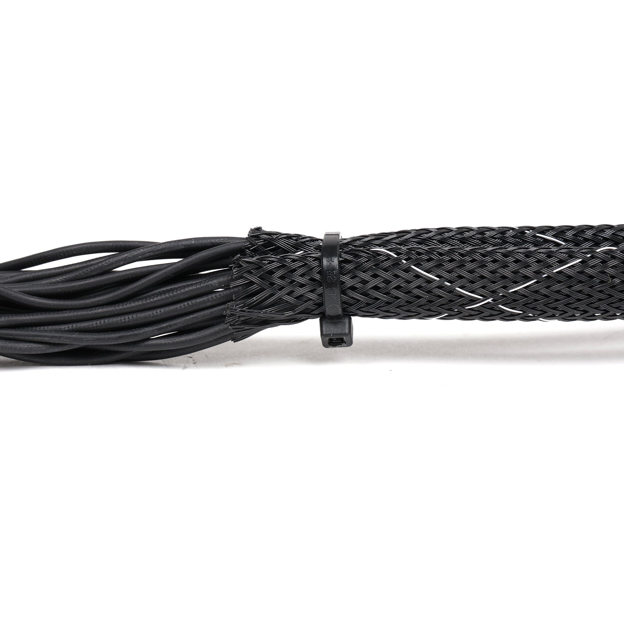 Rywire B Series Adapter Harness for 96-98 Honda Civic
