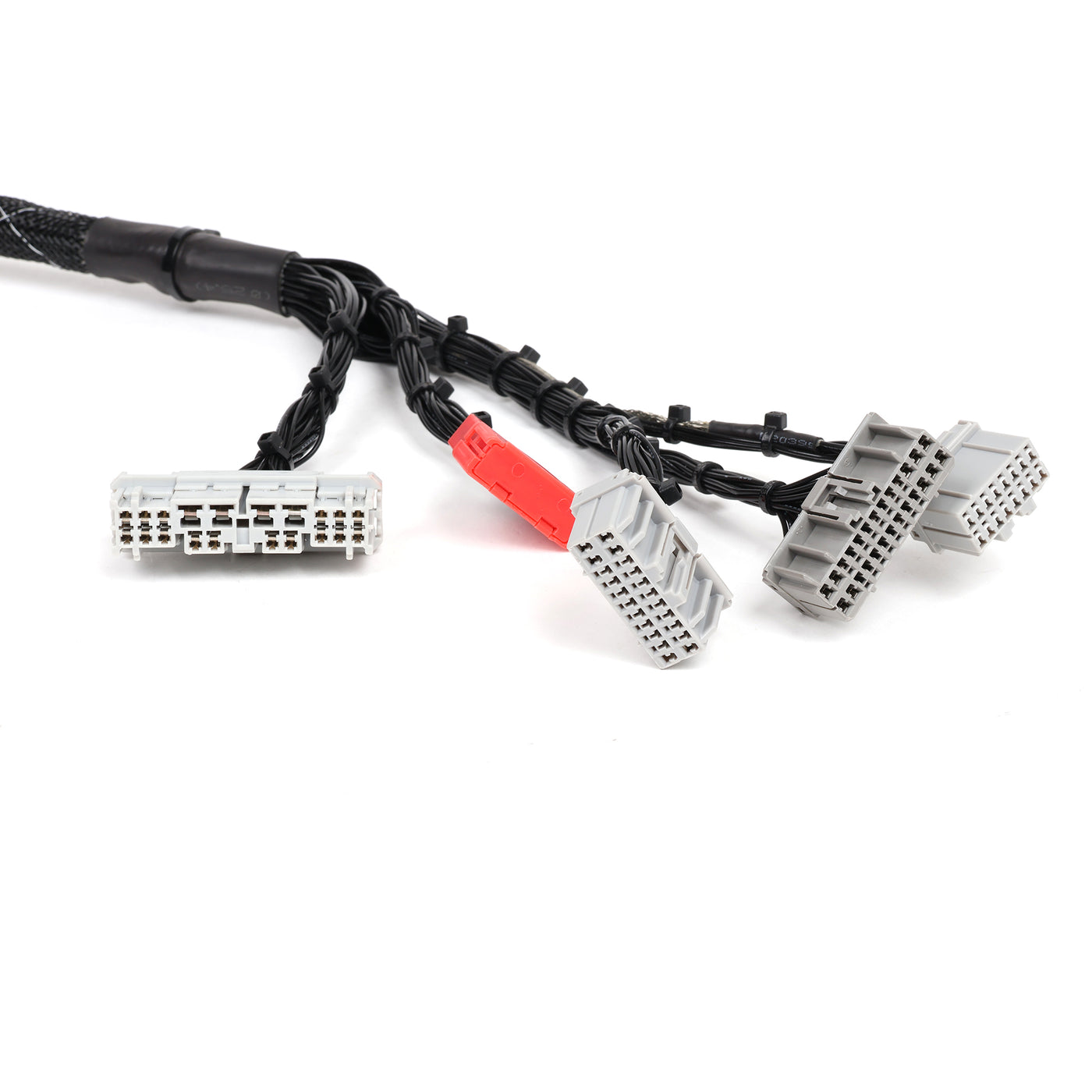 Rywire OBD1 B Series Tucked Engine Harness for Civic/Integra