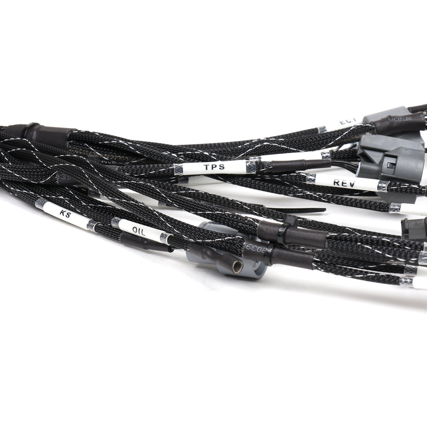 Rywire OBD2 B-Series Tucked Engine Harness for Civic/Integra