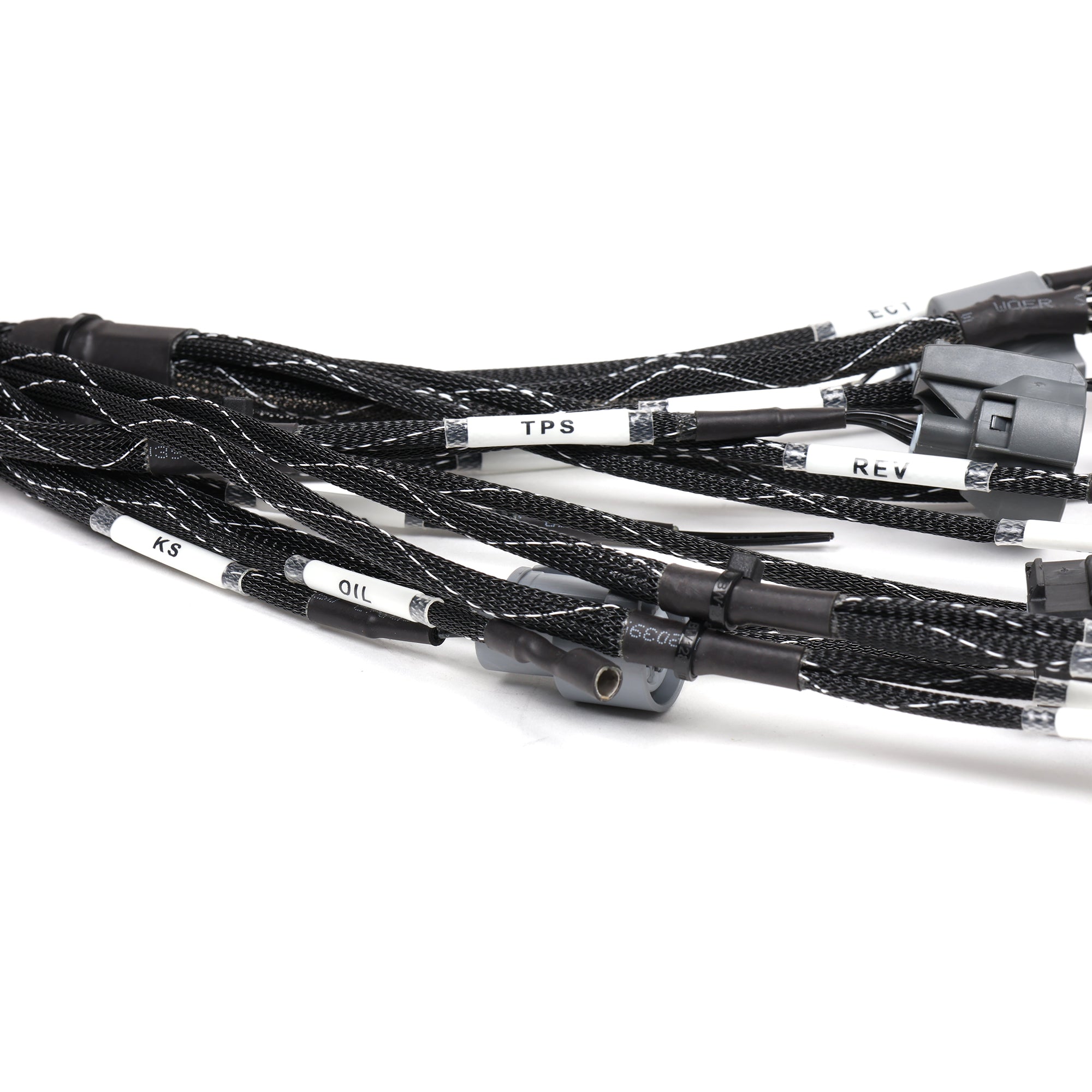 Rywire OBD2 B-Series Tucked Engine Harness for Civic/Integra