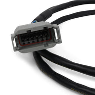 Rywire 6 Toggle Switch Panel