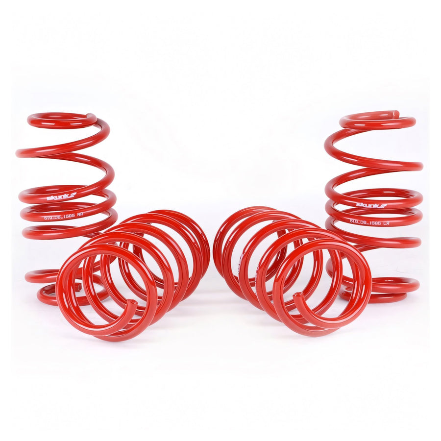Skunk2 Lowering Springs for 2012-2015 Honda Civic Si