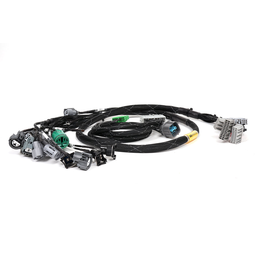 Rywire B/D Series Tucked Engine Harness for 96-00 Civic